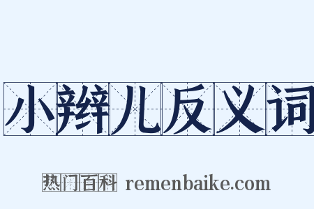 小辫儿反义词是什么意思的图片